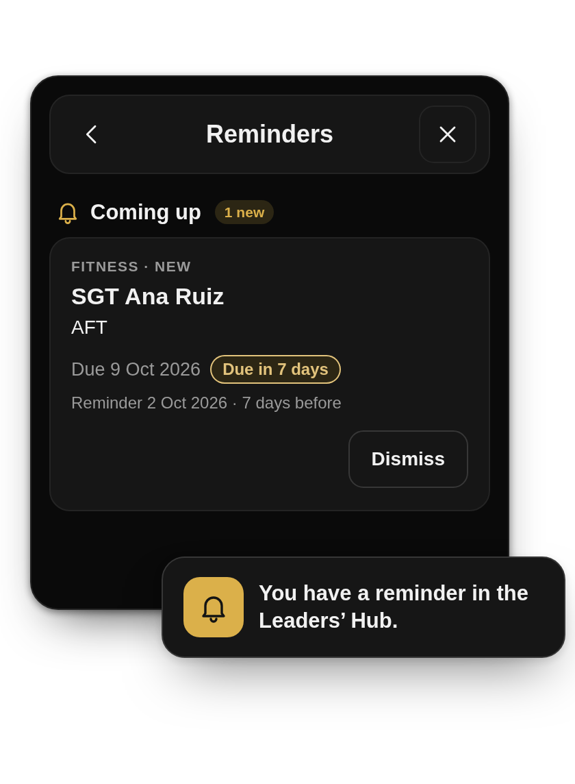 Reminders with one fitness reminder for SGT Ana Ruiz, due in 7 days, beside a notice that reads "You have a reminder in the Leaders' Hub."