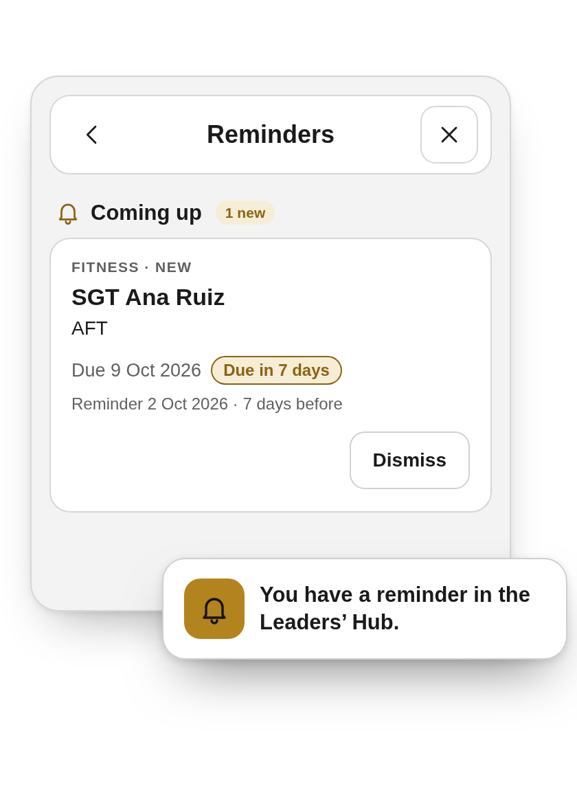 Reminders with one fitness reminder for SGT Ana Ruiz, due in 7 days, beside a notice that reads "You have a reminder in the Leaders' Hub."